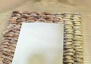 ساخت کاردستی با هسته خرما