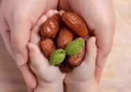 فایده های خرما برای کودک