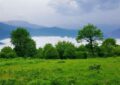 آشنایی با دشت شمسک