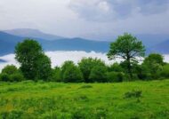 آشنایی با دشت شمسک