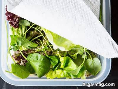 سبزیجات چرا کپک می زنند؟ 