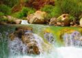 دیدنی های کوهمره سرخی