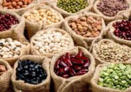 کود برای لوبیا چیتی