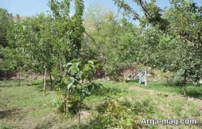  روستای سنو