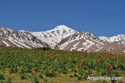 دیدنی های فریدون شهر