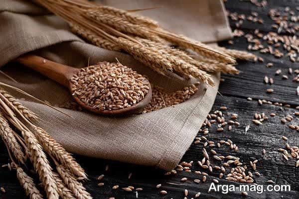 مصرف جو در دوران حاملگی