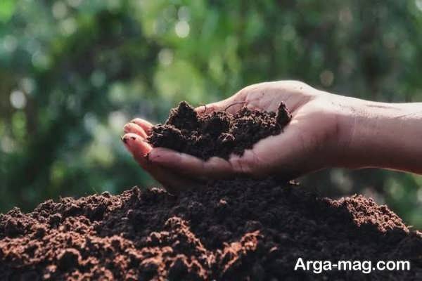 کود تقویت کننده خاک و ریشه گیاه