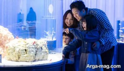 آجذابیت های کواریوم کایوکان 