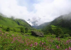 آشنایی با پارک ملی دره گل ها