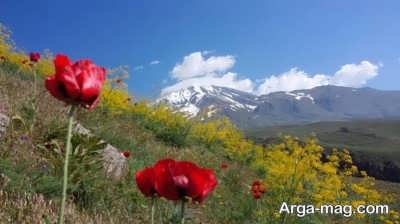 زمان سفر به دشت کالپوش